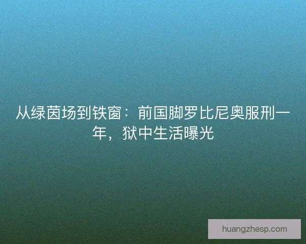 从绿茵场到铁窗：前国脚罗比尼奥服刑一年，狱中生活曝光