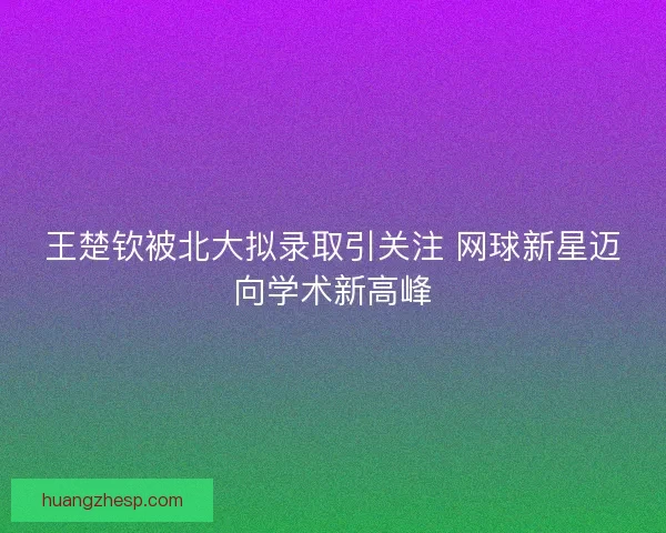 王楚钦被北大拟录取引关注 网球新星迈向学术新高峰 王楚钦被北大拟录取引关注 网球新星迈向学术新高峰