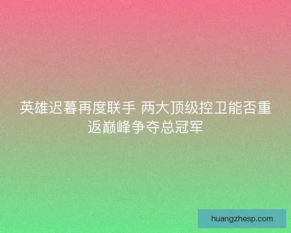 英雄迟暮再度联手 两大顶级控卫能否重返巅峰争夺总冠军 英雄迟暮再度联手 两大顶级控卫能否重返巅峰争夺总冠军