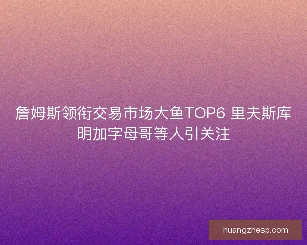 詹姆斯领衔交易市场大鱼TOP6 里夫斯库明加字母哥等人引关注